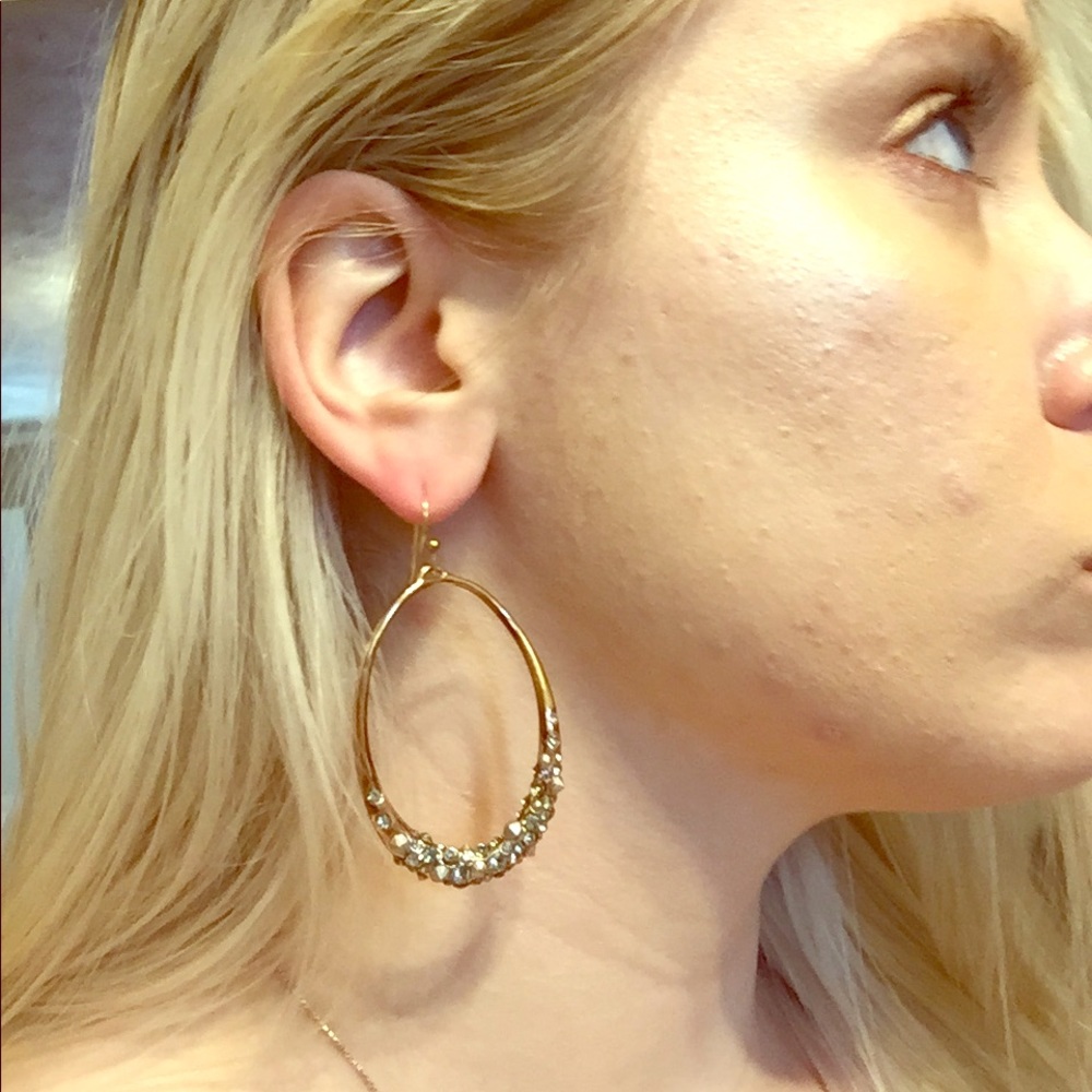 Alexis Bittar Rose Gold Earrings